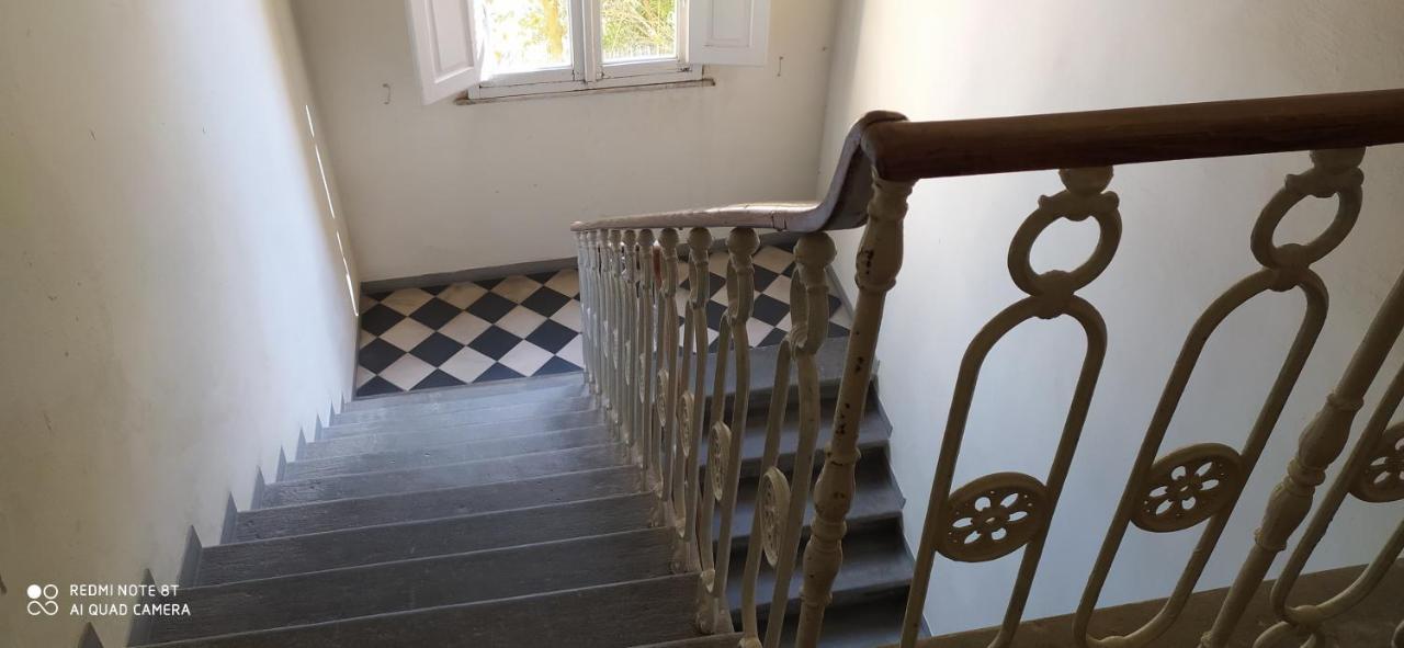 Desiderio Appartement Pisa Buitenkant foto