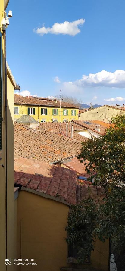 Desiderio Appartement Pisa Buitenkant foto